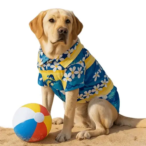 ropa para perro en AliExpress México