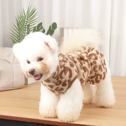 ropa para perro poddle en AliExpress México