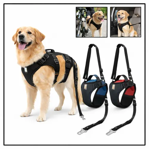 Arnés para bicicleta, moto y coche en AliExpress México