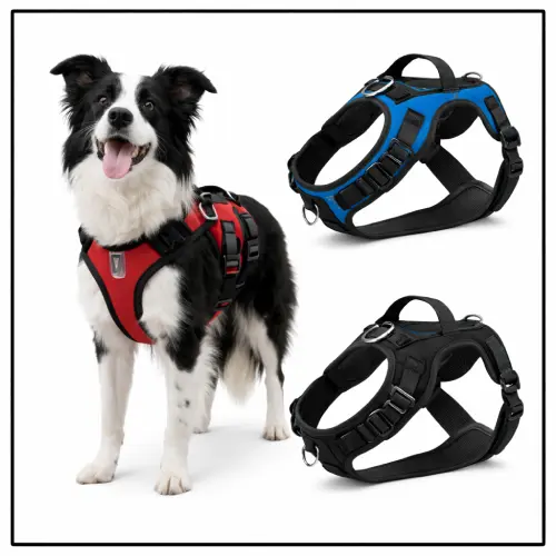 Arnés para perros medianos y grandes en AliExpress México